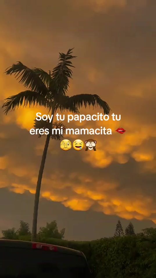 TikTok video thumbnail by elchicosad..6