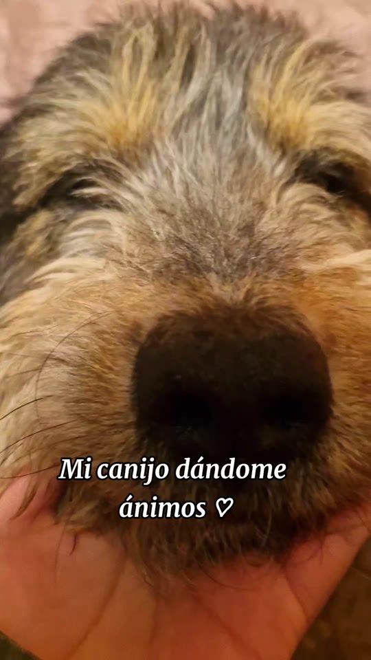 TikTok video thumbnail by nannamooor
