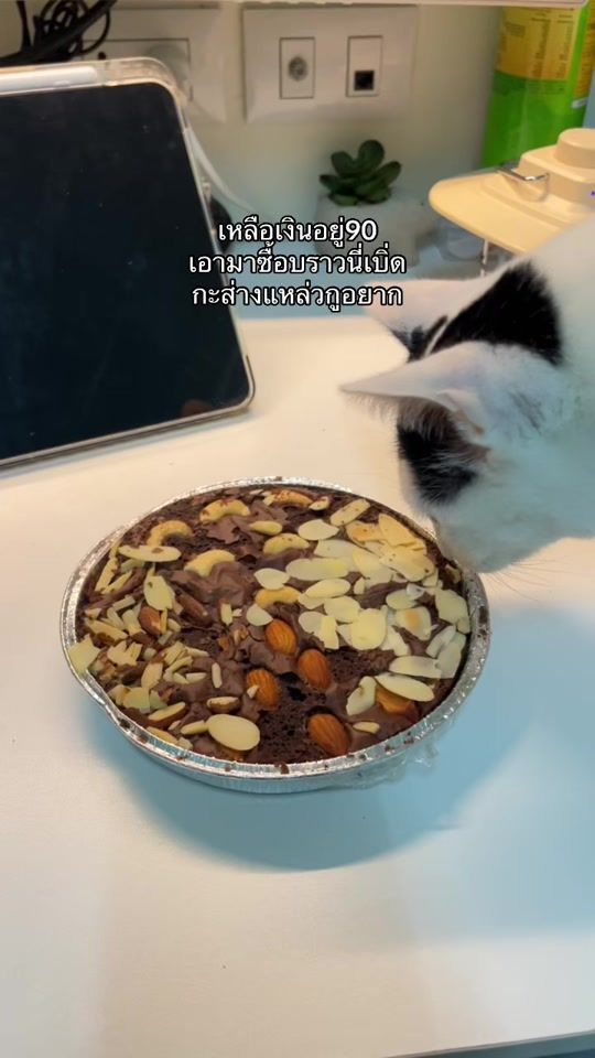 TikTok video thumbnail by tang_bahh