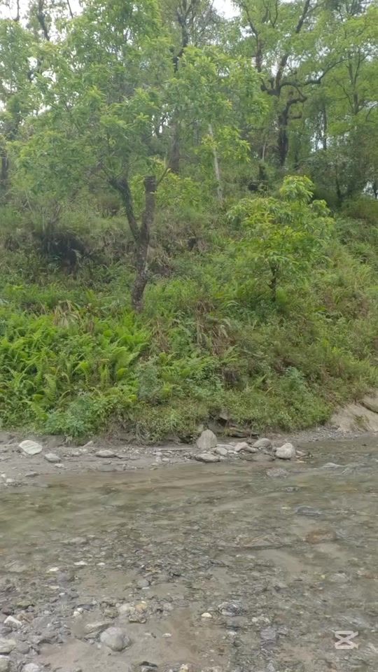 TikTok video thumbnail by kaledai970