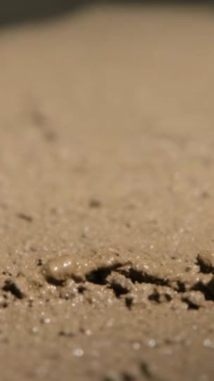 TikTok video thumbnail by fulldaba