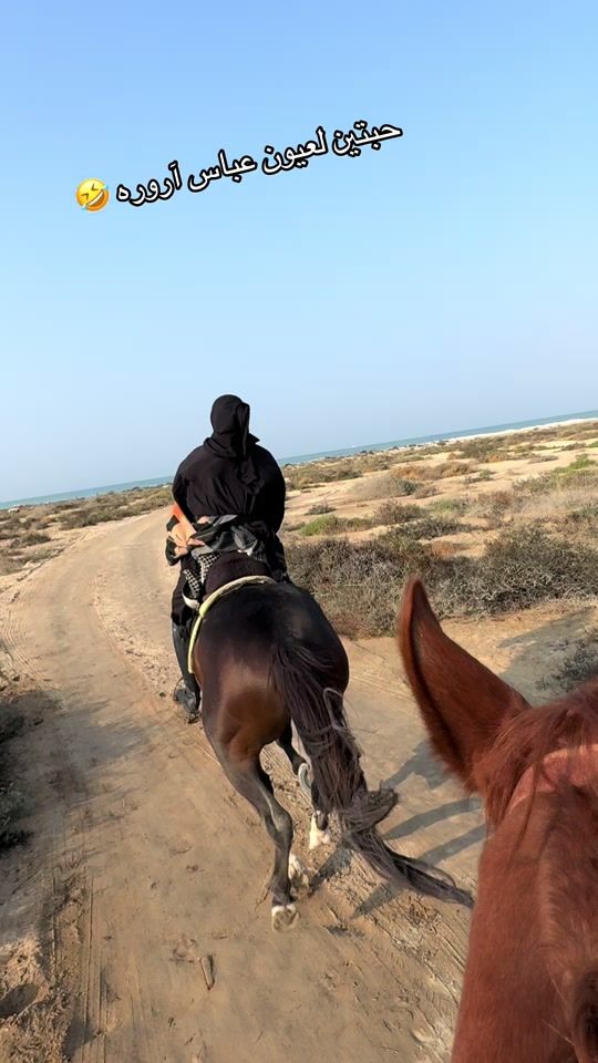 TikTok video thumbnail by bh_horse_king