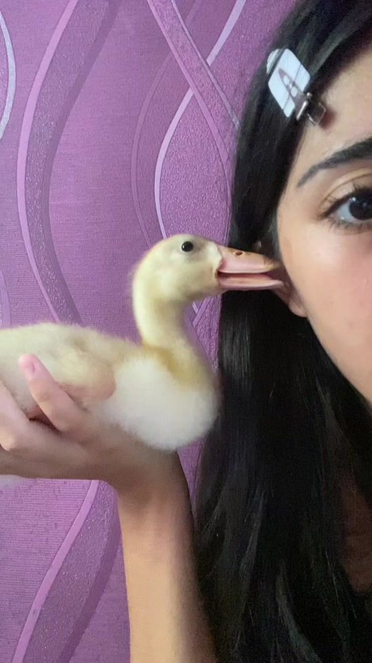 TikTok video thumbnail by nuraywwks