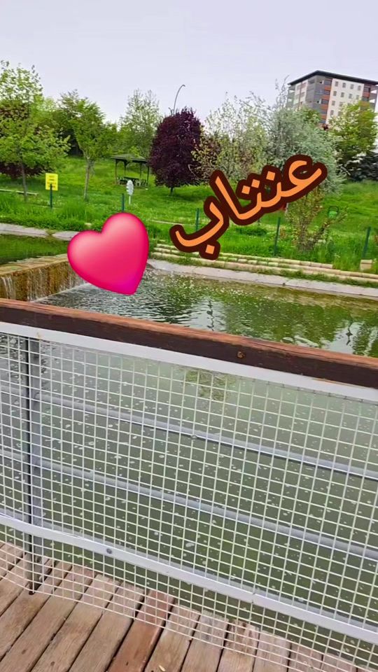 TikTok video thumbnail by basil.kerem