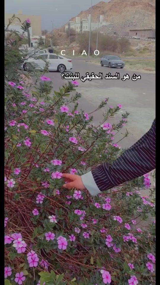 TikTok video thumbnail by tb_793