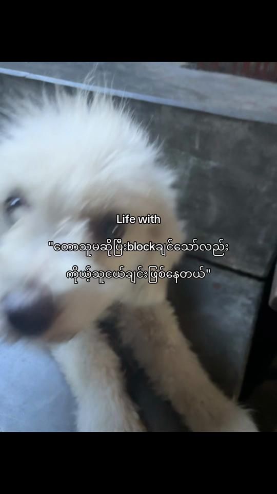 TikTok video thumbnail by brooke.2k8