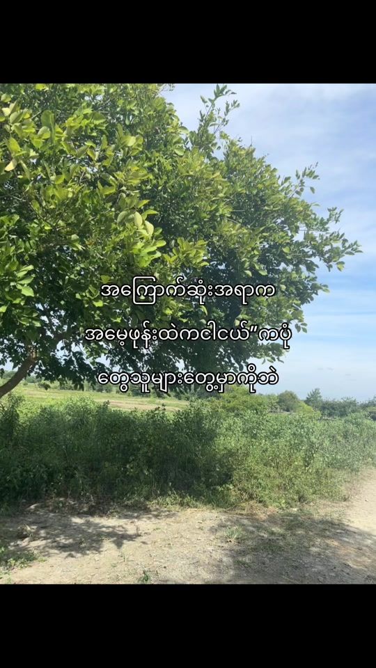 TikTok video thumbnail by m_n8432
