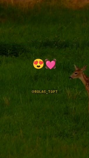 TikTok video thumbnail by rolas_top7