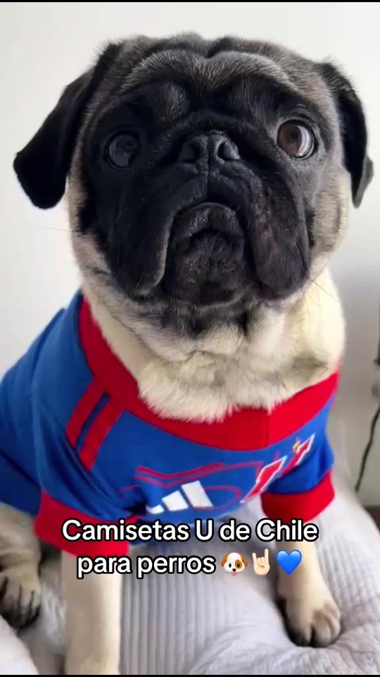 TikTok video thumbnail by thanos_collection