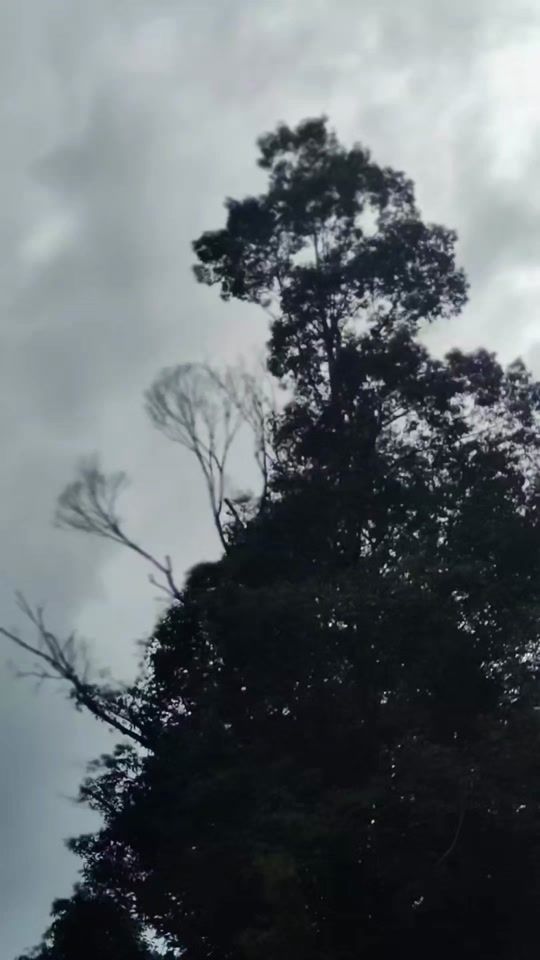 TikTok video thumbnail by hendra_tx