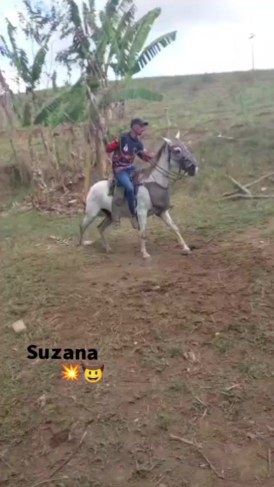 TikTok video thumbnail by davylucas5512