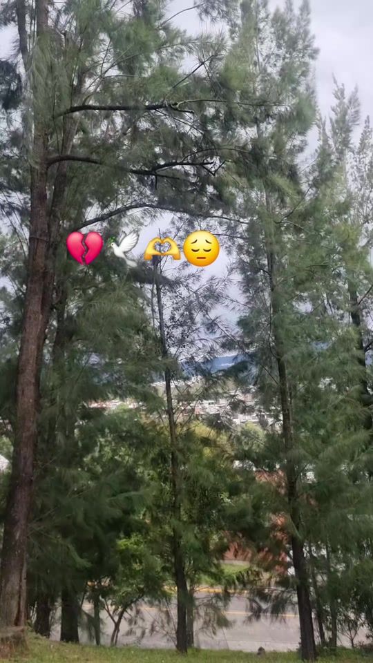 TikTok video thumbnail by _solita992