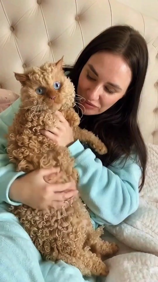 TikTok video thumbnail by katikatcooo