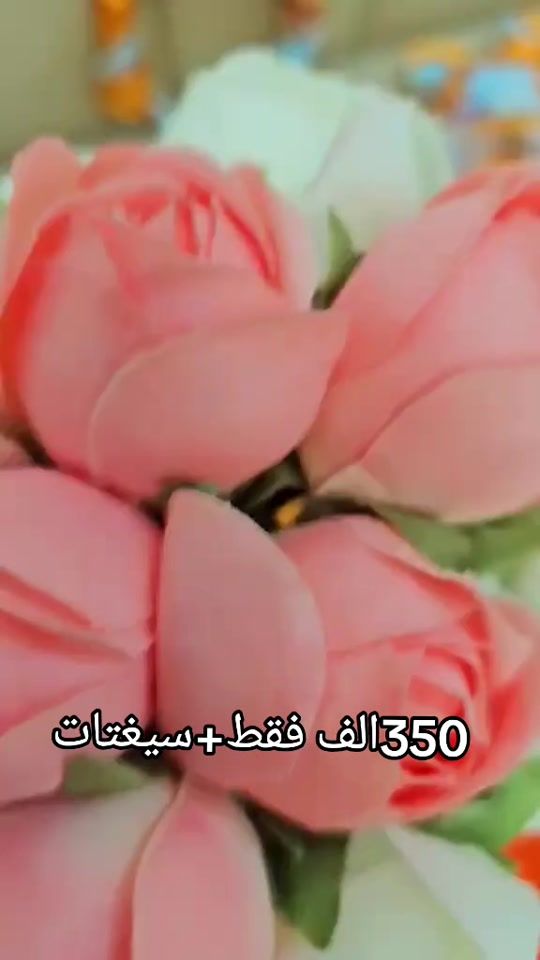 TikTok video thumbnail by am_collection167