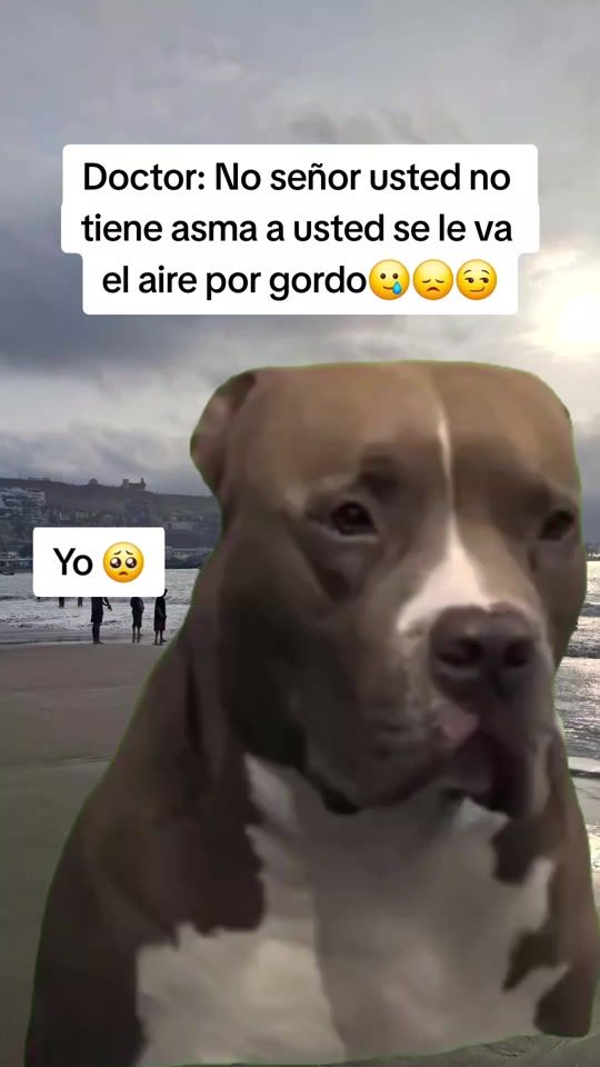 TikTok video thumbnail by siempre.activoo