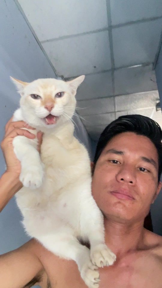 TikTok video thumbnail by guitar_cat66