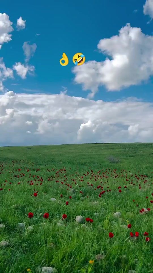 TikTok video thumbnail by hgjkfdy
