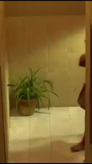 TikTok video thumbnail by ubiadullahkhan303
