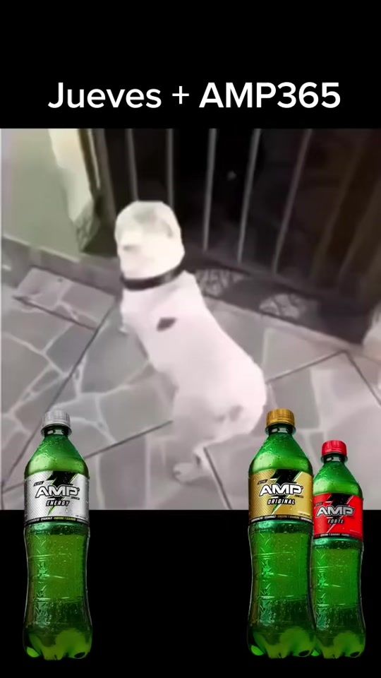 TikTok video thumbnail by amp365guate