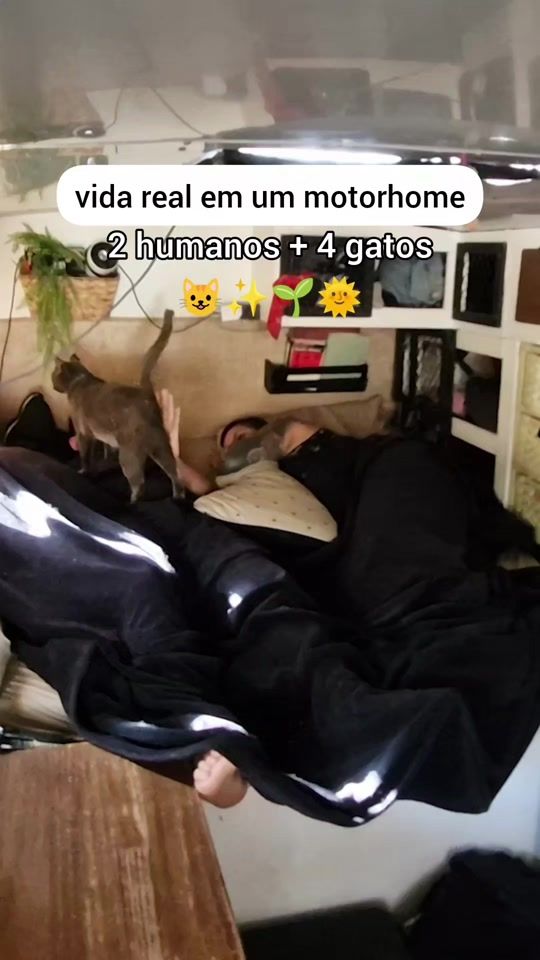 TikTok video thumbnail by pegadasitinerantes