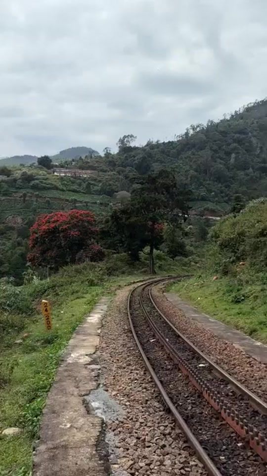 TikTok video thumbnail by dilru.23