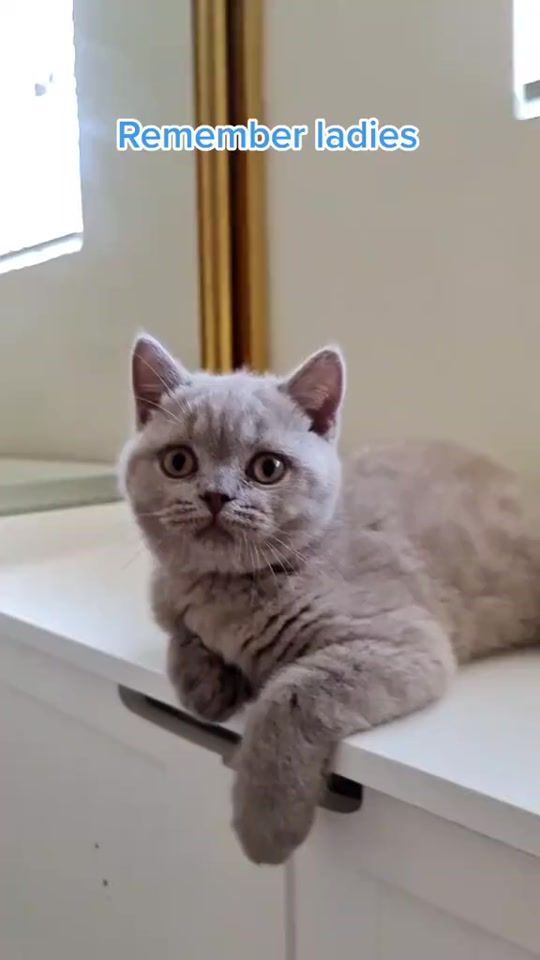 TikTok video thumbnail by mimi_starr