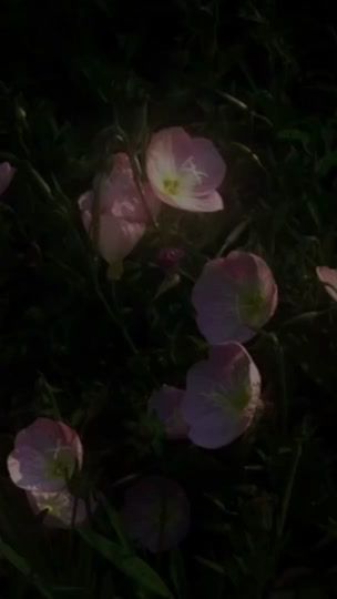 TikTok video thumbnail by skyuuun_