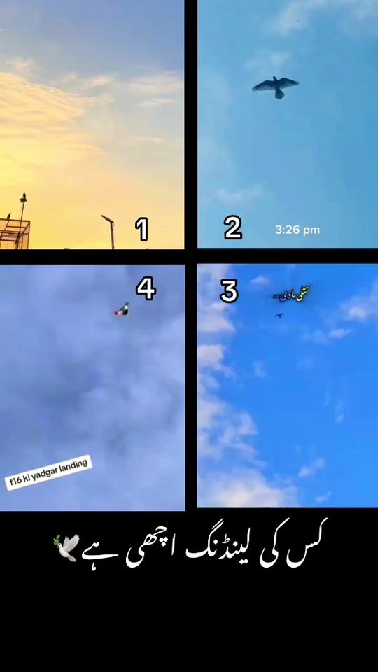 TikTok video thumbnail by kabootarbaaznickpathiala