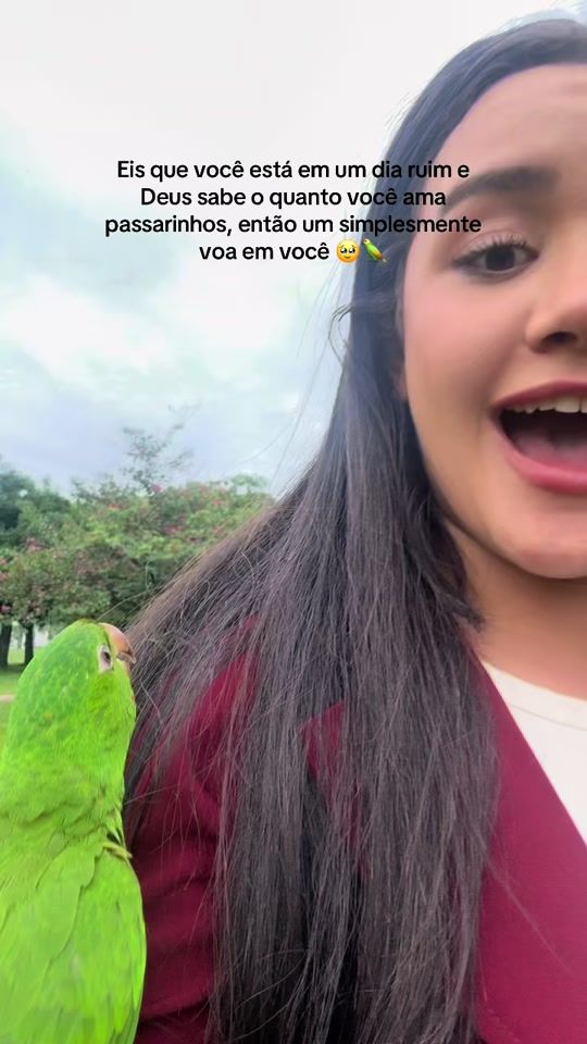 TikTok video thumbnail by samaracunha1