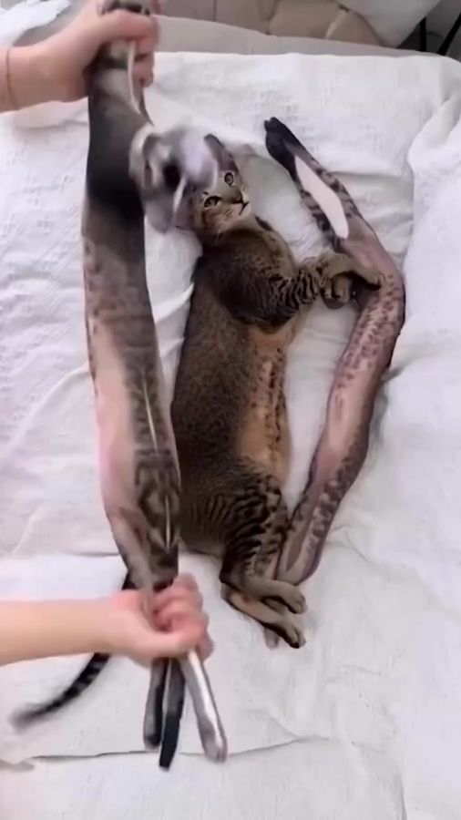 TikTok video thumbnail by ak_az0