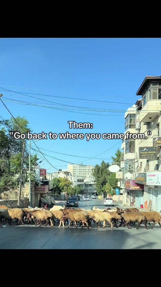 TikTok video thumbnail by sarab.ps