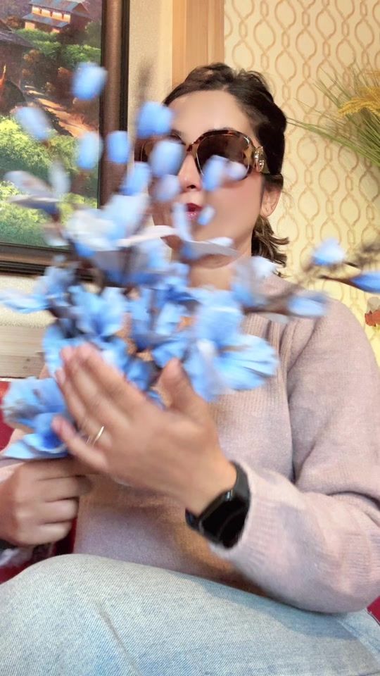 TikTok video thumbnail by gautam.nisha
