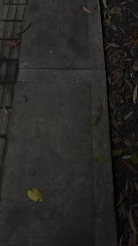 TikTok video thumbnail by mateojaramil