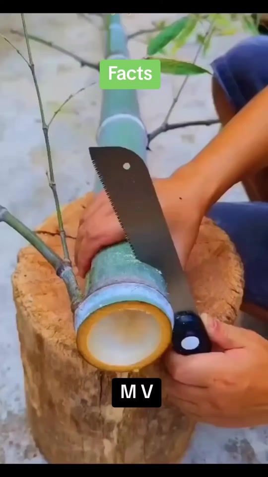 TikTok video thumbnail by myanmarvibes6