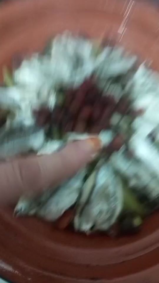TikTok video thumbnail by maryam_mar30