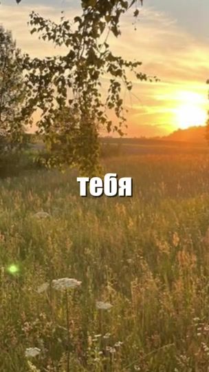 TikTok video thumbnail by hhhhwgc