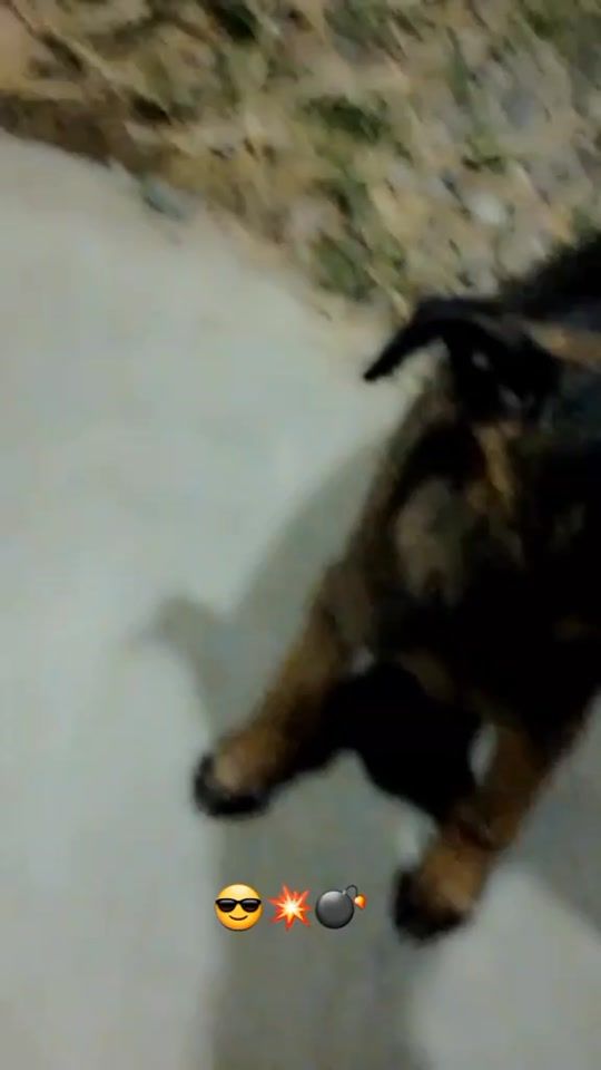 TikTok video thumbnail by roba_corazones
