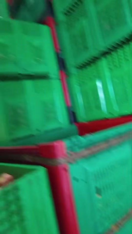 TikTok video thumbnail by qalib_490