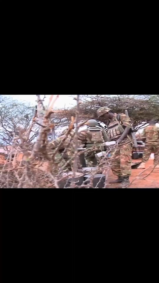 TikTok video thumbnail by canolmeshark