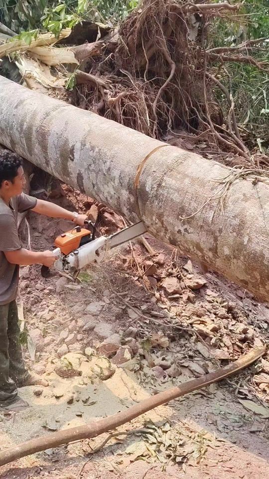 TikTok video thumbnail by somchai.mack