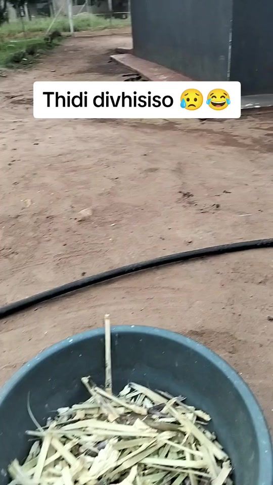 TikTok video thumbnail by vhonani011