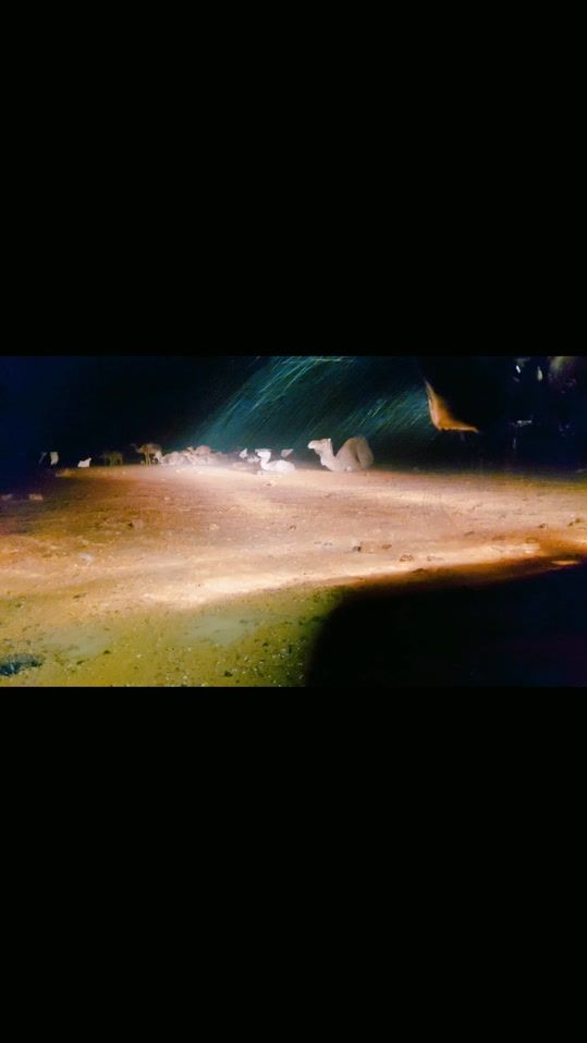 TikTok video thumbnail by fraij_204