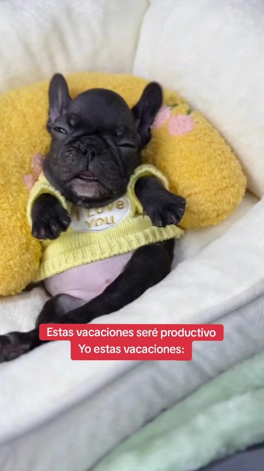 TikTok video thumbnail by thepibblepost