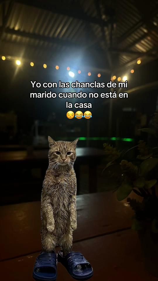TikTok video thumbnail by _ashleen504