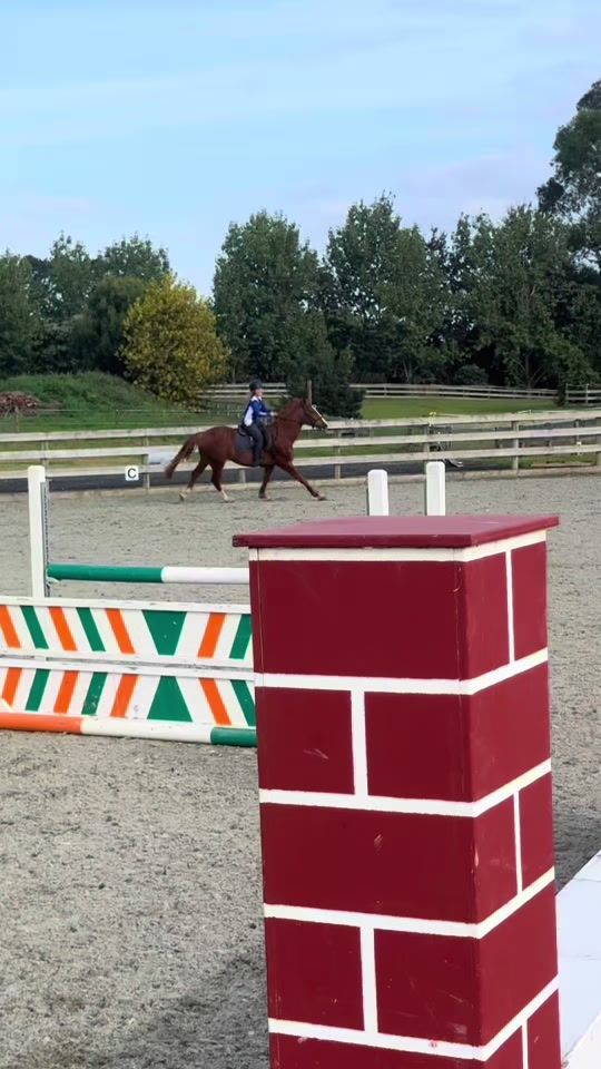 TikTok video thumbnail by amber_equestrian.0