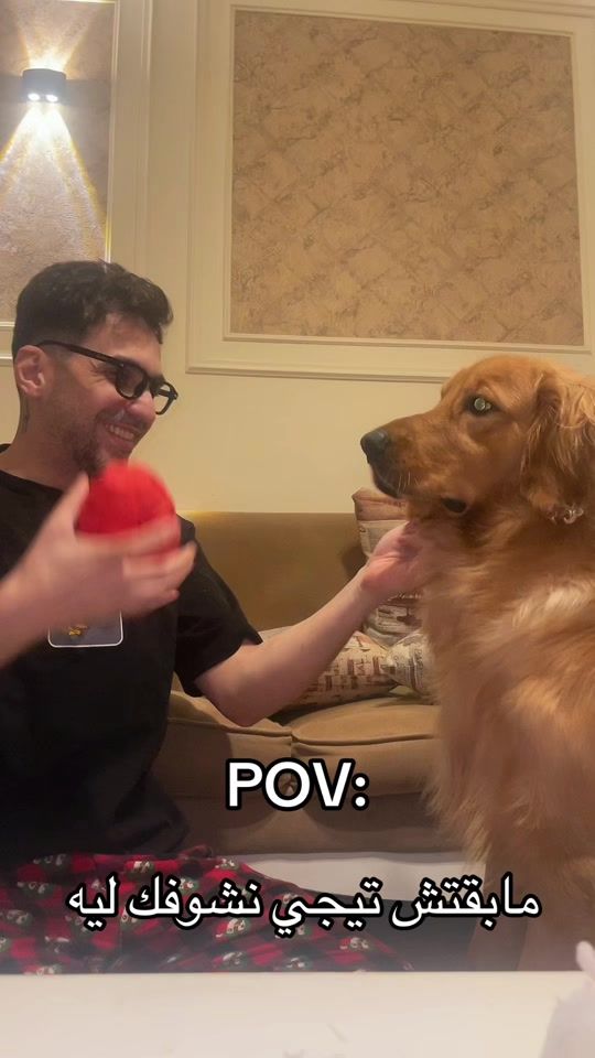 TikTok video thumbnail by leo.adventures10