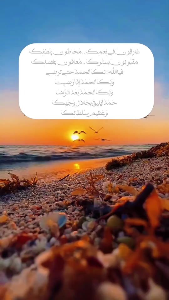 TikTok video thumbnail by another_life5