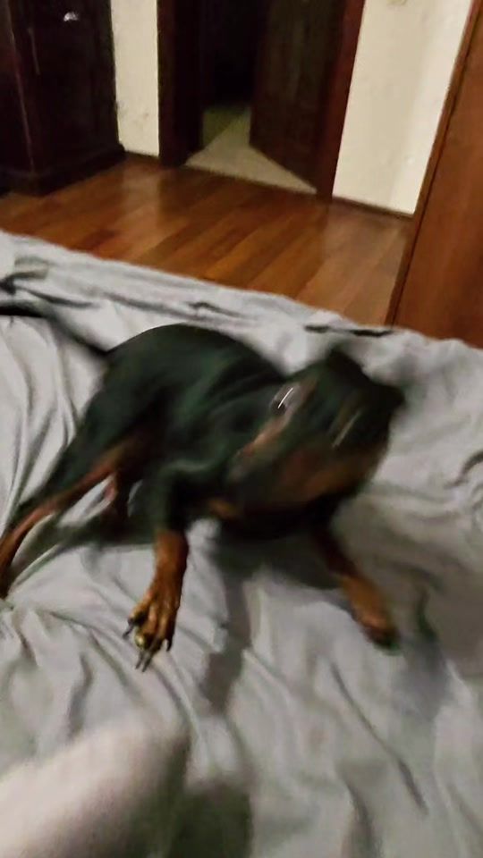 TikTok video thumbnail by herainaa