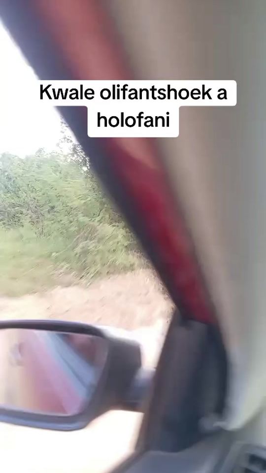TikTok video thumbnail by giftngobeni0
