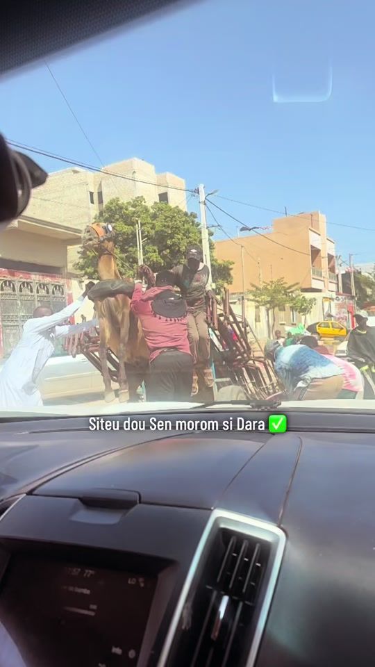 TikTok video thumbnail by almighty_bamba